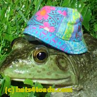 /home//u458753944/public_html/sourcegallery//Frogs/More bullfrogs/P6020093.JPG